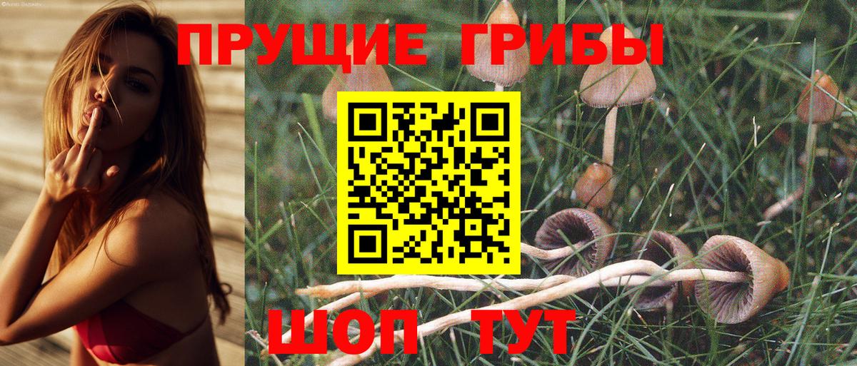 Галлюциногенные грибы Magic Shrooms Сарапул