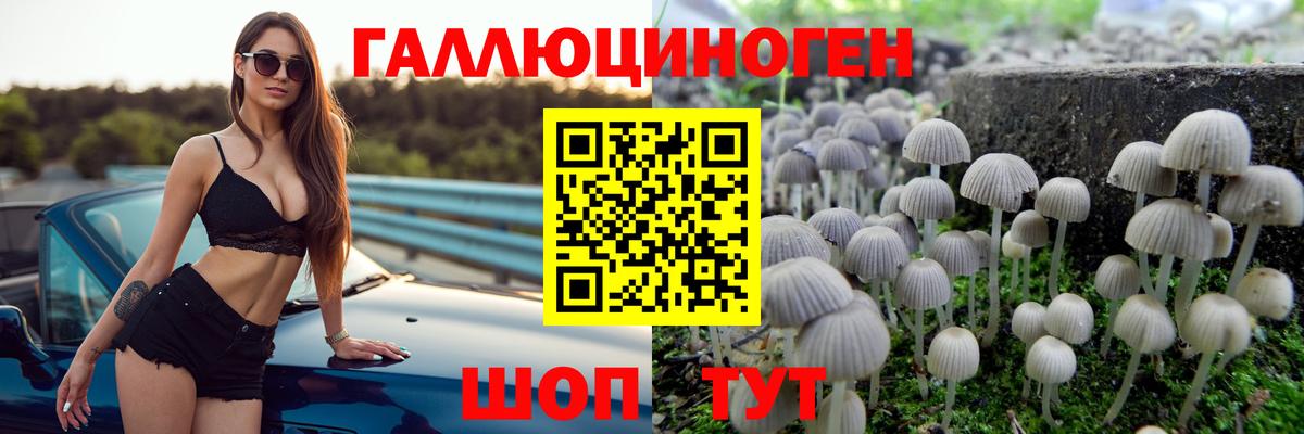 Сарапул  хочу   Псилоцибиновые грибы Psilocybine cubensis  Вход с VPN  Псилоцибиновые грибы GOLDEN TEACHER 
